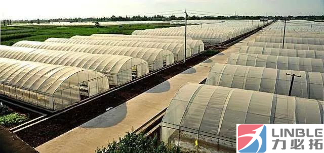 1536739371792253.jpg 1513908974901601.jpg